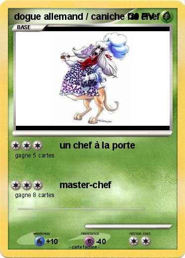 Pokemon dogue allemand / caniche fat chef