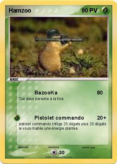 Pokemon Hamzoo