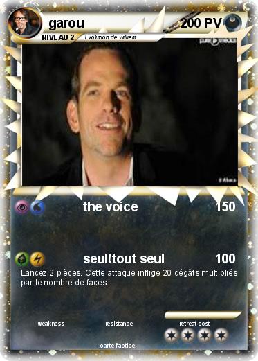 Pokemon garou