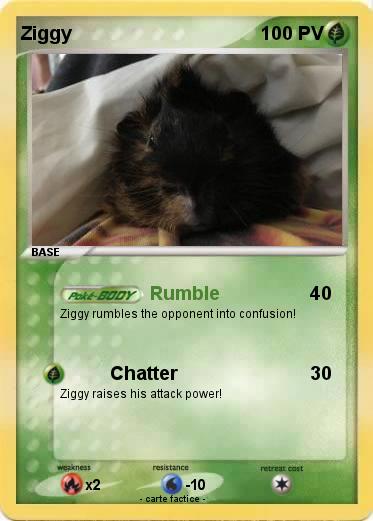 Pokemon Ziggy