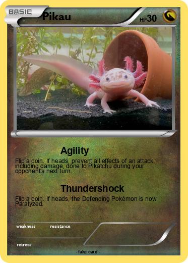 Pokemon Pikau