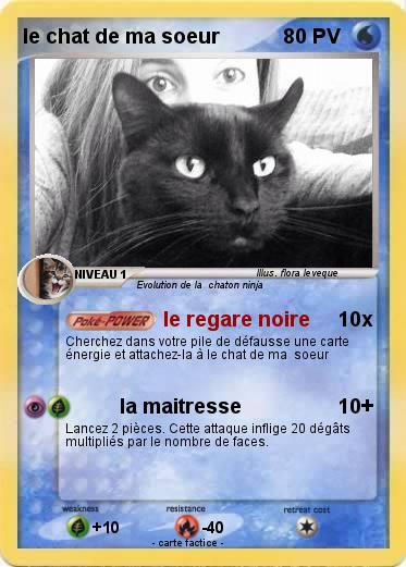 Pokemon le chat de ma soeur