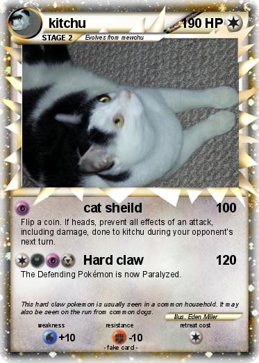 Pokemon kitchu