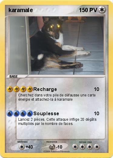 Pokemon karamale
