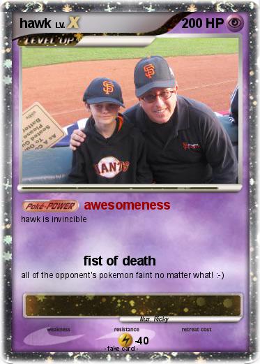 Pokemon hawk