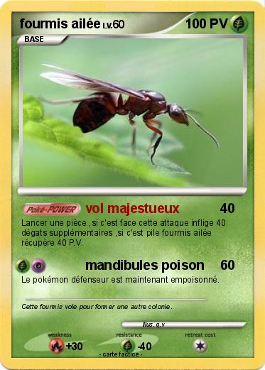 Pokemon fourmis ailée