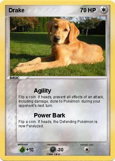 Pokemon Drake