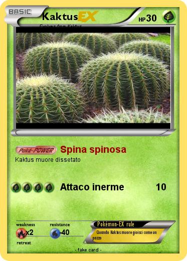 Pokemon Kaktus