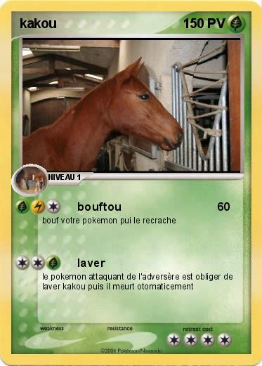 Pokemon kakou