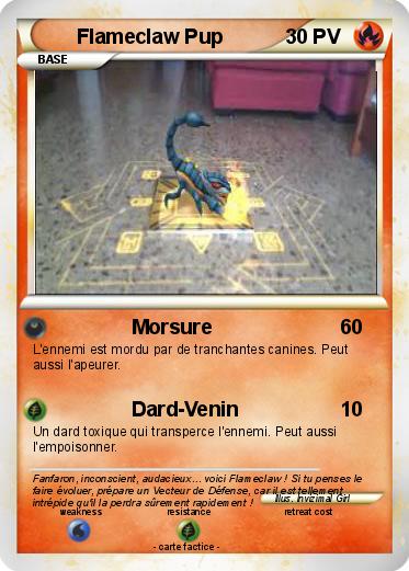 Pokemon Flameclaw Pup