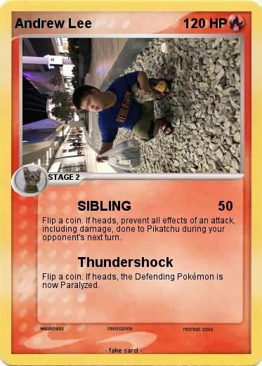 Pokemon Andrew Lee
