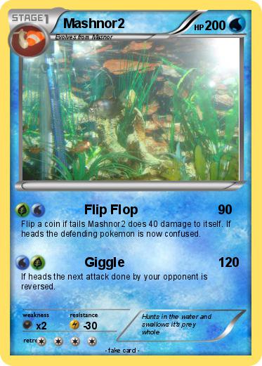 Pokemon Mashnor2