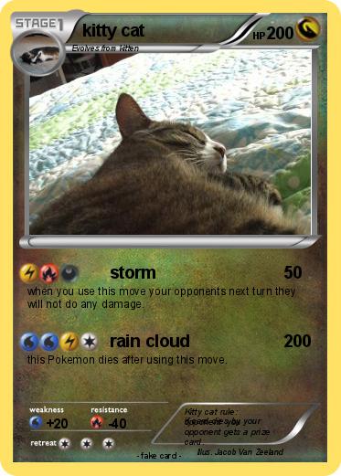 Pokemon kitty cat