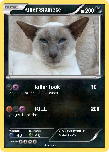 Pokemon Killer Siamese