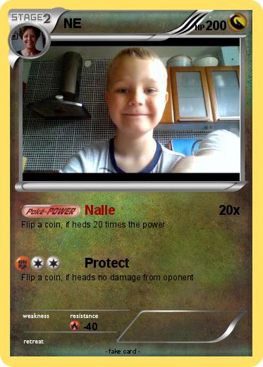 Pokemon NE