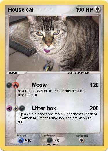 Pokemon House cat