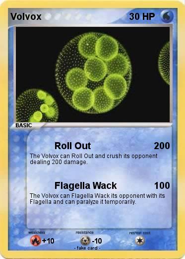Pokemon Volvox