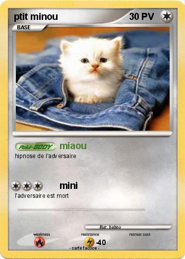 Pokemon ptit minou