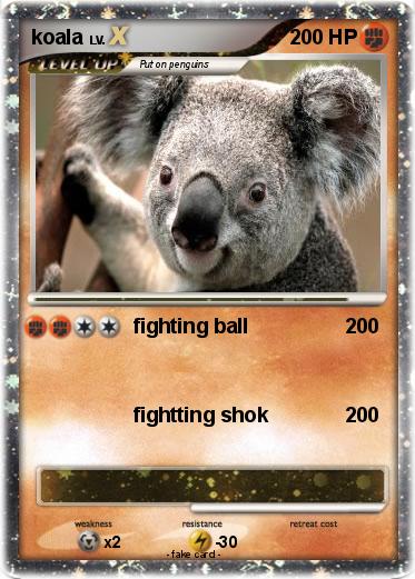 Pokemon koala