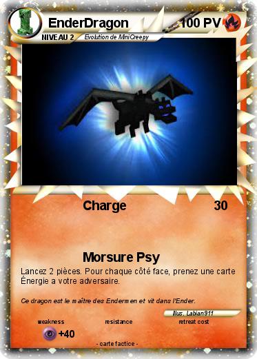 Pokemon EnderDragon