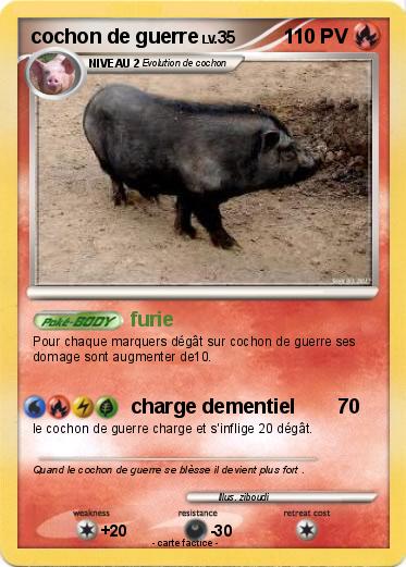 Pokemon cochon de guerre
