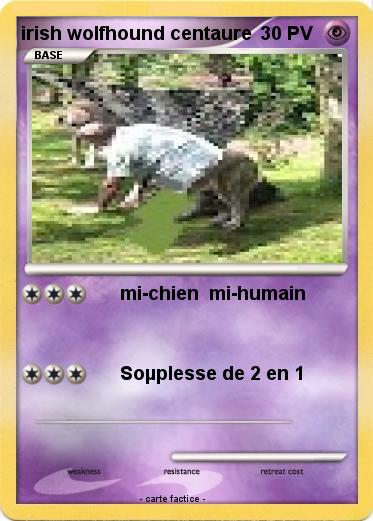Pokemon irish wolfhound centaure