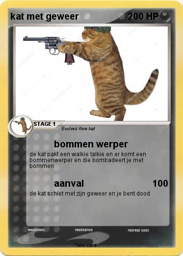 Pokemon kat met geweer