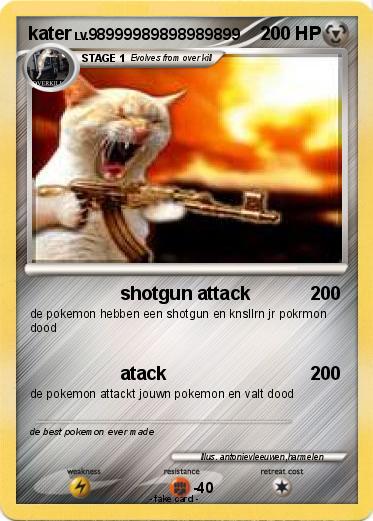 Pokemon kater