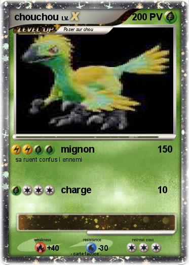 Pokemon chouchou