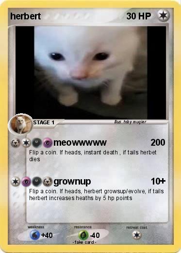 Pokemon herbert