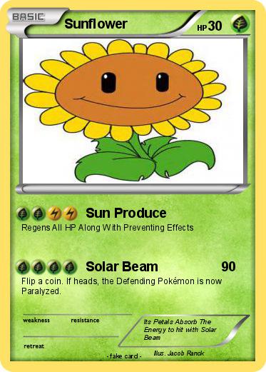Pokemon Sunflower
