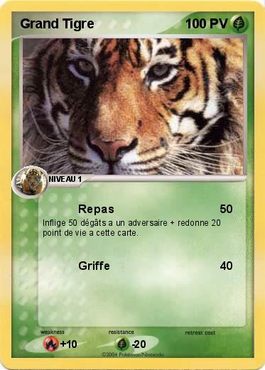 Pokemon Grand Tigre               