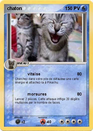 Pokemon chaton