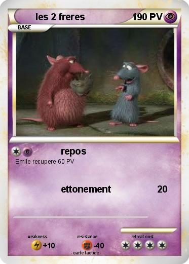 Pokemon les 2 freres