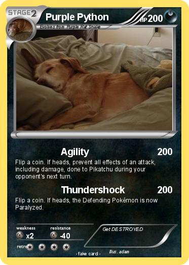 Pokemon Purple Python