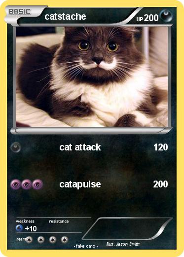 Pokemon catstache