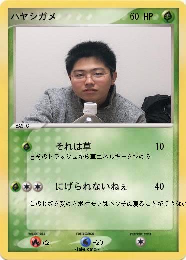 Pokemon ハヤシガメ