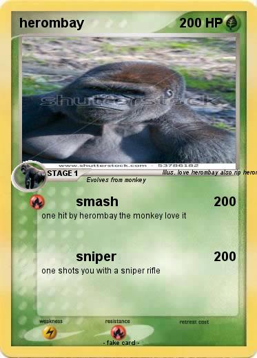 Pokemon herombay