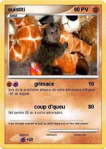 Pokemon ouistiti