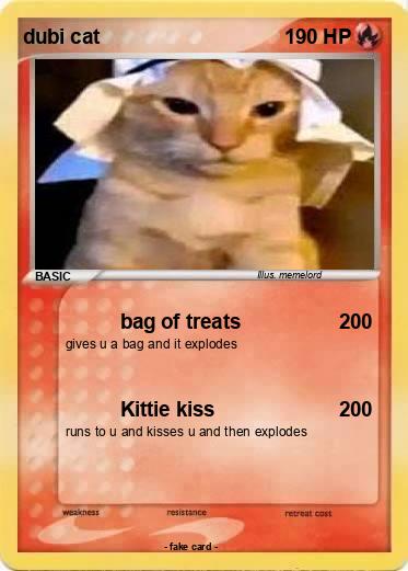 Pokemon dubi cat