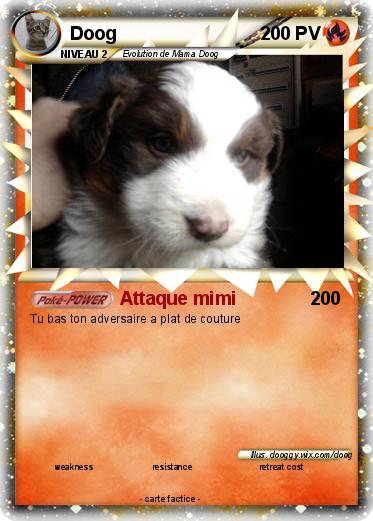 Pokemon Doog