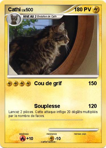 Pokemon Cathi