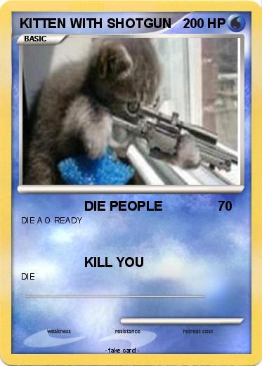 Pokemon KITTEN WITH SHOTGUN