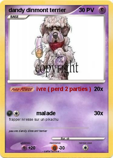 Pokemon dandy dinmont terrier