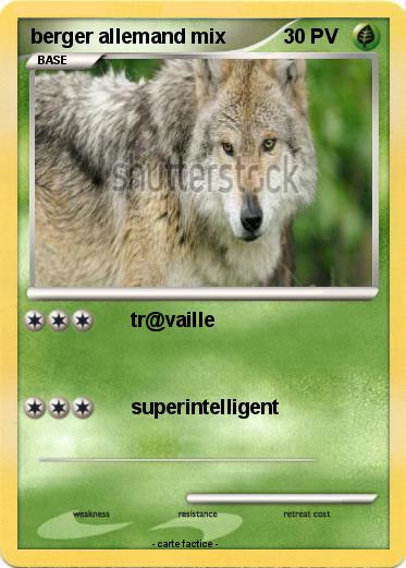 Pokemon berger allemand mix