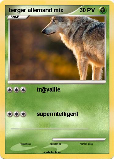 Pokemon berger allemand mix