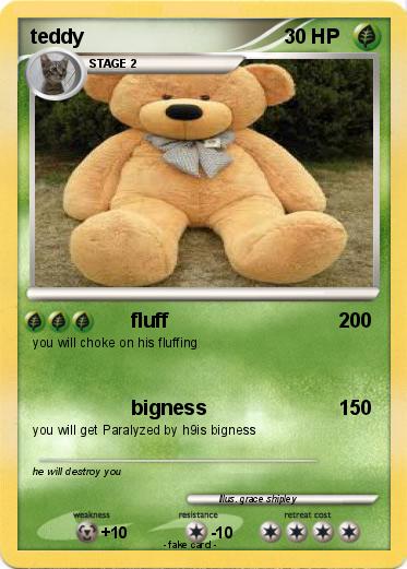 Pokemon teddy
