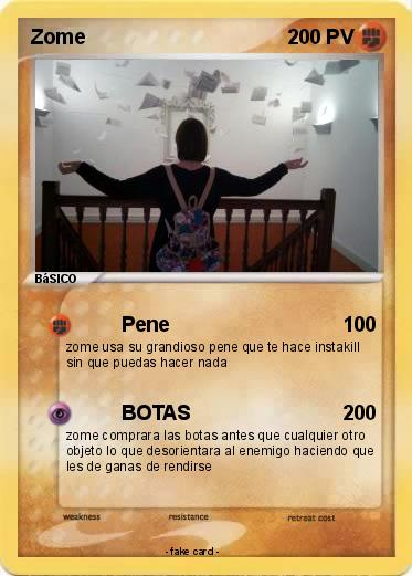 Pokemon Zome