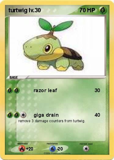 Pokemon turtwig lv.30