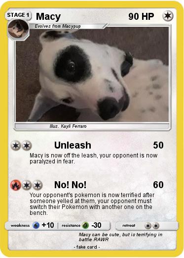 Pokemon Macy